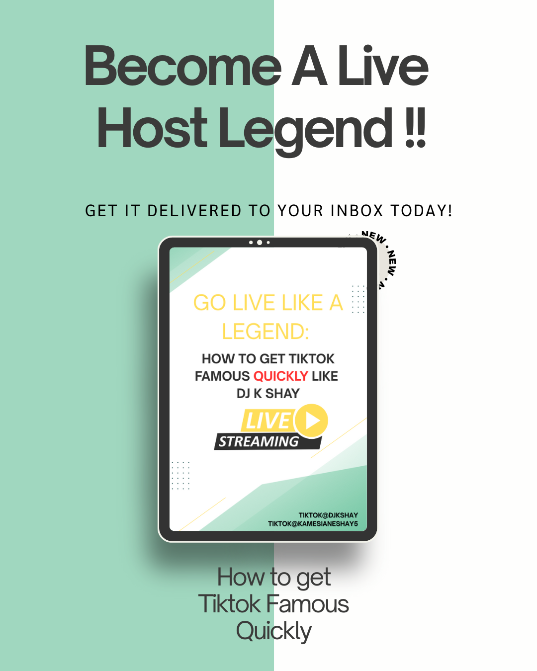 Go Live Like A Legend: How To Get Tiktok Famous Quickly Like DJ K SHAY Ebook